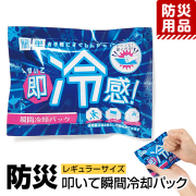防災グッズ 防災用品 防災 冷却パック 冷却剤 冷却材 保冷剤 冷感 アイシング 首 レギュラーサイズ ハンディタイプ コンパクト 熱中症対策 日射病対策 非常用 災害対策 地震 停電 台風 豪雨 アウトドア レジャー BO-34326 ゆうパケット対応