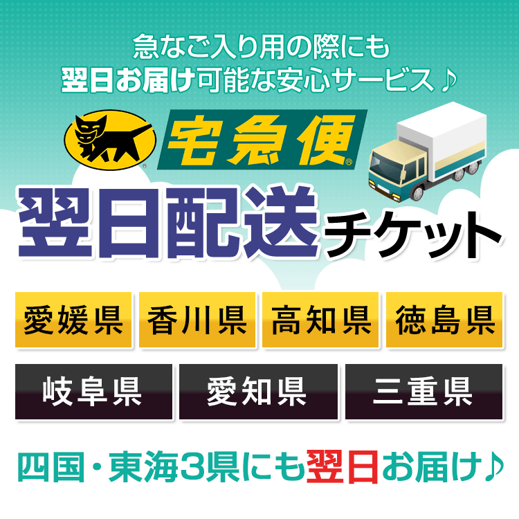 四国・東海3県でお急ぎの方に！ 宅急便翌日配送チケット 愛媛・香川・高知・徳島・岐阜・愛知・三重に翌日お届け