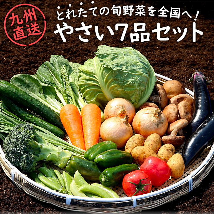 野菜セット 九州産 産直 野菜 詰め合わせ 7品 国産 九州 宅配 お取り寄せ 食材 グルメ ご当地 ギフト 母の日 父の日 お中元 お歳暮 贈答 やさい 九州野菜 農家 新鮮 フレッシュ 旬 とれたて 採れたて おまかせ 詰合せ 詰合わせ クール便 VEG-7