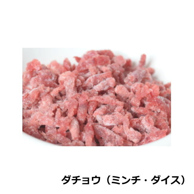 ダチョウ　代表画像