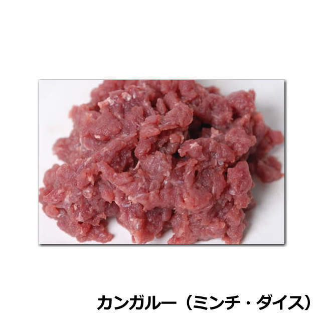 カンガルー代表画像