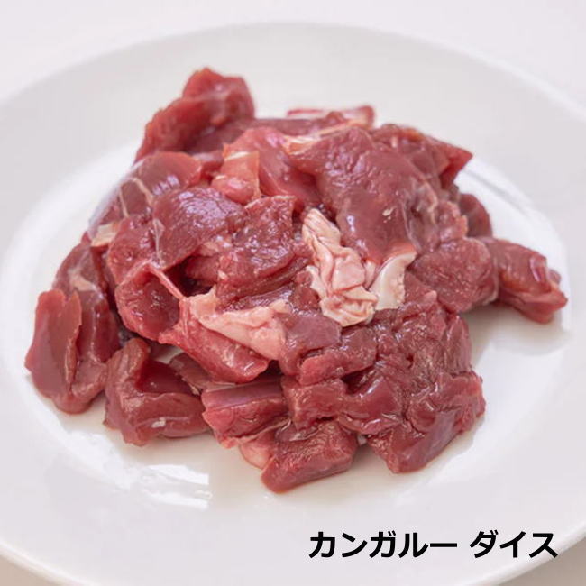 カンガルー ダイス 01/ニンナナンナデリカ