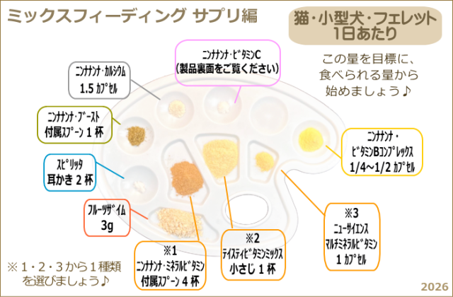 基本サプリメント　パレット2026