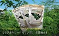 沖縄県産モリンガ (3g×10包)3袋　自然栽培　もりもり健康茶※ レタ－パックプラスでお届けします。　