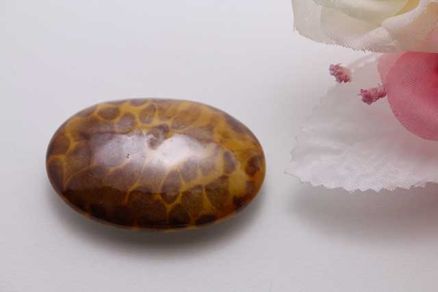 有田焼帯留 べっこう 楕円型