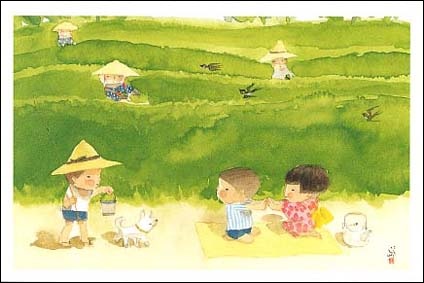 茶摘み