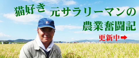 猫好き元サラリーマンの農業奮闘記