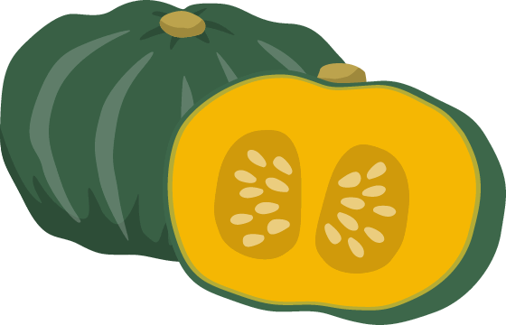 西間農園産直かぼちゃ えびす 10kg 4玉 6玉 配達日指定不可 お米との同梱不可 9月下旬 10月上旬頃のお届け 産地直送 北海道米通販サイト 西間農園公式ウェブショップ