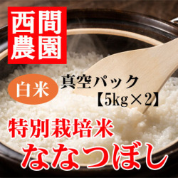 特別栽培米白米ななつぼし真空パック5kg×2
