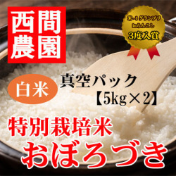 特別栽培米白米おぼろづき真空パック5kg×2