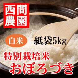特別栽培米白米おぼろづき紙袋5kg