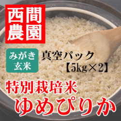 みがき玄米特別栽培米ゆめぴりか真空5kg×2