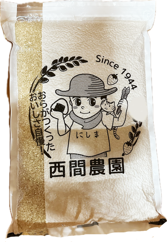 北海道産 おぼろづき 5kg 白米 令和6年産 産地限定 米 お米 送料無料