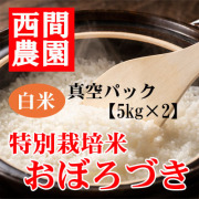 真空パックの商品一覧