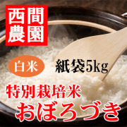 特別栽培米白米おぼろづき紙袋5kg