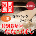 真空パックの商品一覧
