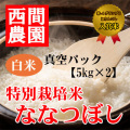 特別栽培米白米ななつぼし真空パック5kg×2