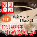 特別栽培米白米ゆめぴりか真空5kg×2