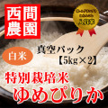 特別栽培米白米ゆめぴりか真空5kg×2