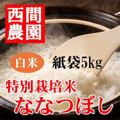 特別栽培米白米ななつぼし紙袋5kg