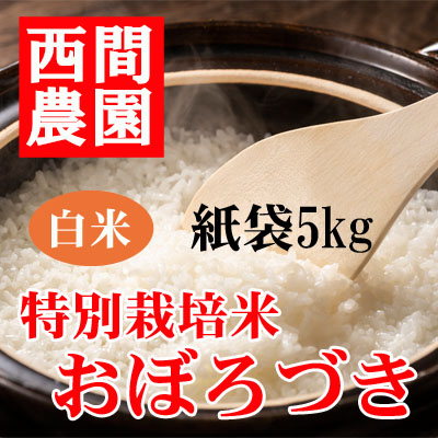 特別栽培米白米おぼろづき紙袋5kg