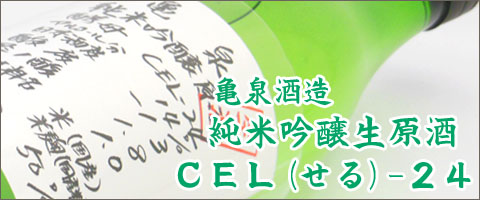 亀泉　cel-24 スマホ(スライド用) 2018