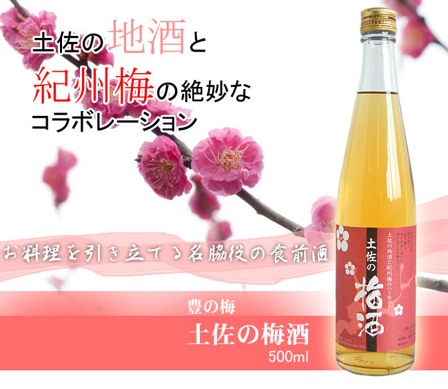 高木酒造　土佐の梅酒　画像