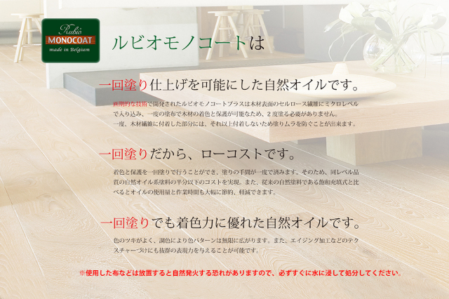 RMC6 ルビオモノコートオイルプラスA 20ml/ボトル (内装用 スタンダード色)