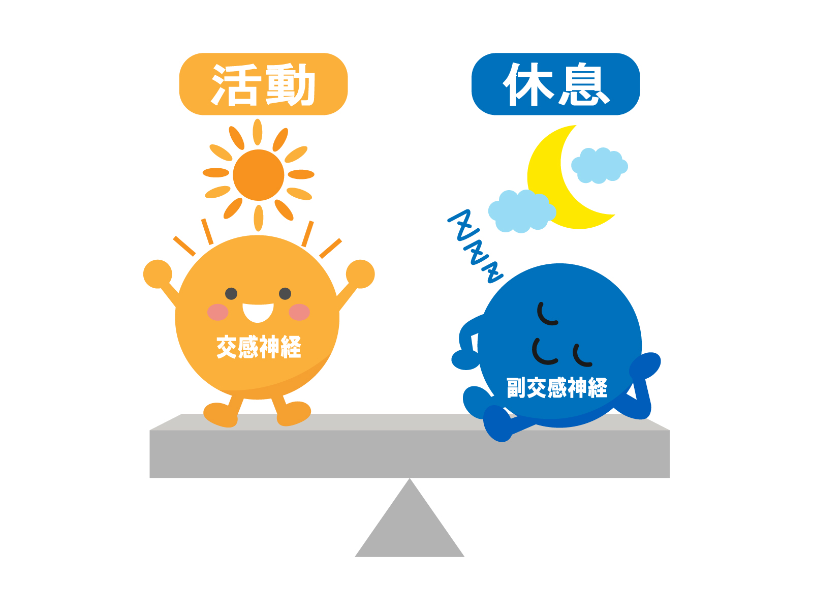 イラスト_自律神経