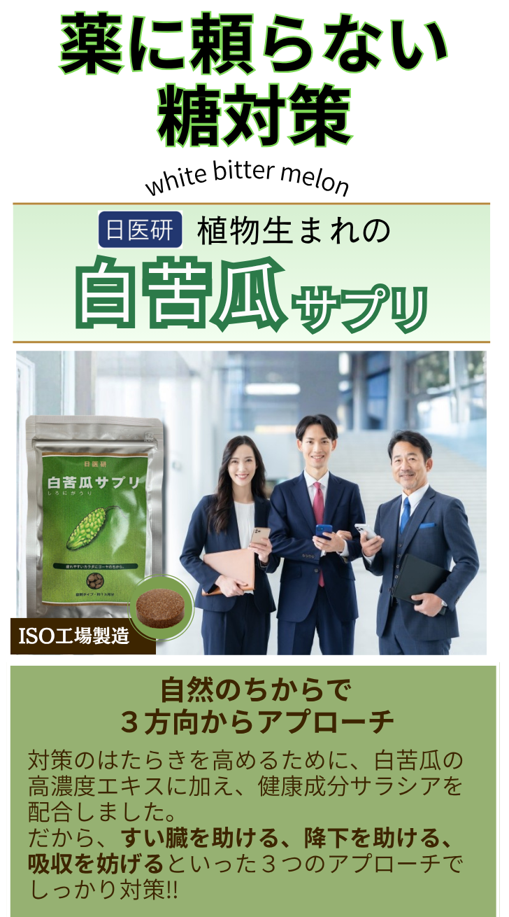 白苦瓜トップ
