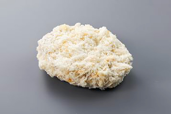 三元豚ヒレカツ