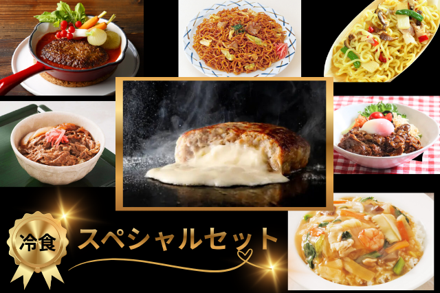 ※着日指定不可【冷凍】冷食スペシャルセット(Edel Chef 鉄板焼チーズインハンバーグ x3・ハンバーグヴィアンド110g x3・牛丼の素 x2・中華丼の素 x2・5種果実の旨だれ牛カルビ x2・まちのソース焼そば x2・上海風塩焼そば x2
