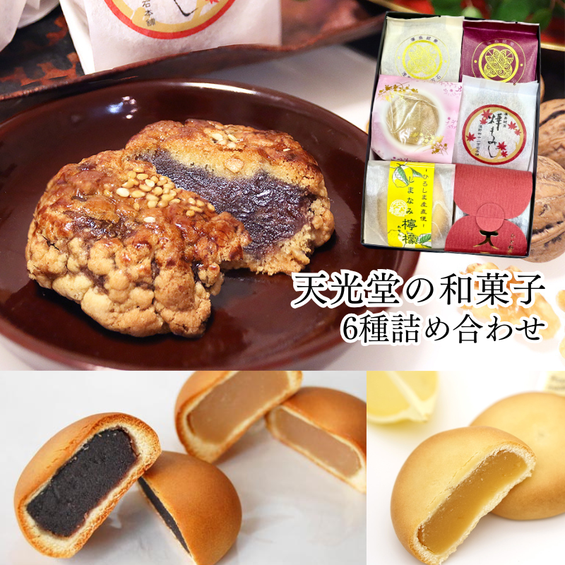天光堂 和菓子 6種×1個詰め合わせ 天光堂 広島銘菓｜★受注生産商品【E114】
