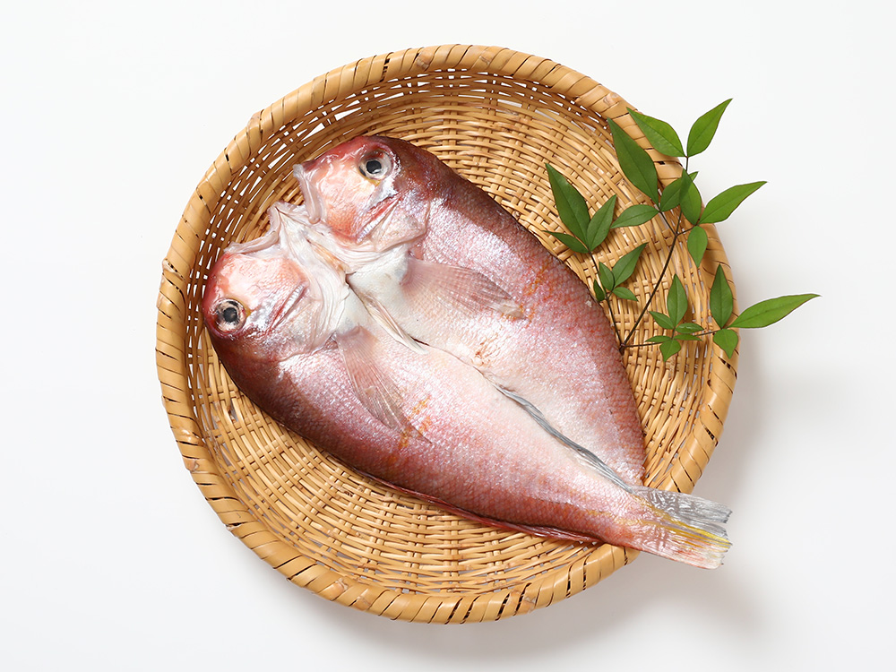 甘鯛の開き 【新潟県産】｜富山県 魚津市の魚介・干物 製造卸販売