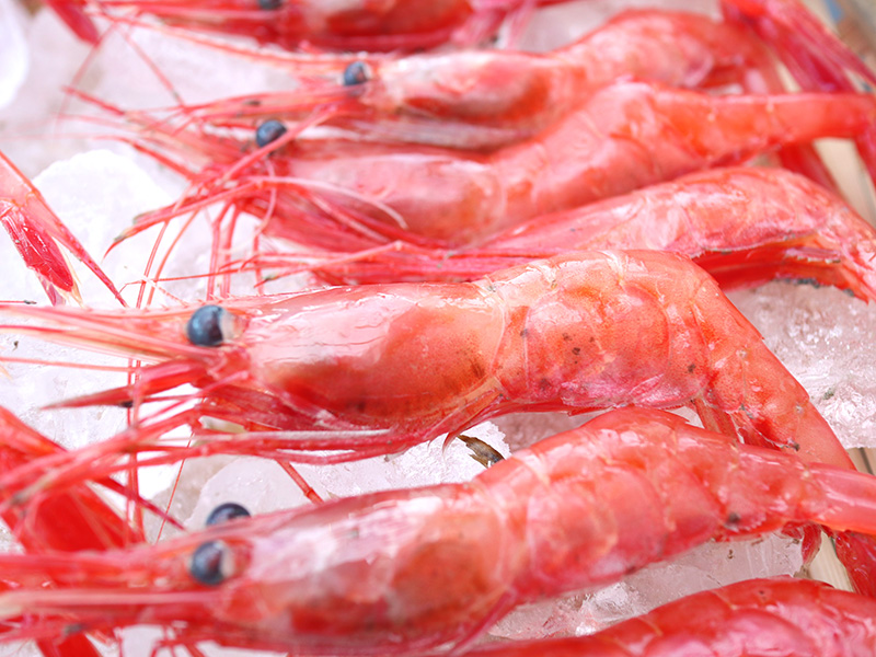 生　甘エビ
