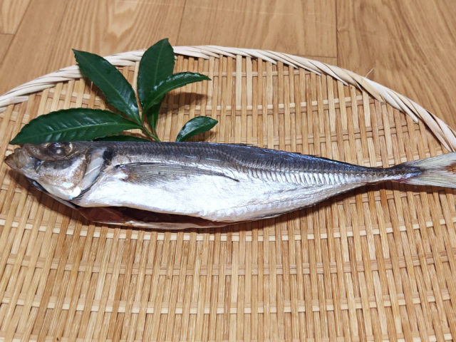 開きアジ 干物【富山湾産】｜ 能登いしるだし干し｜浜浦水産 んまいちゃ便