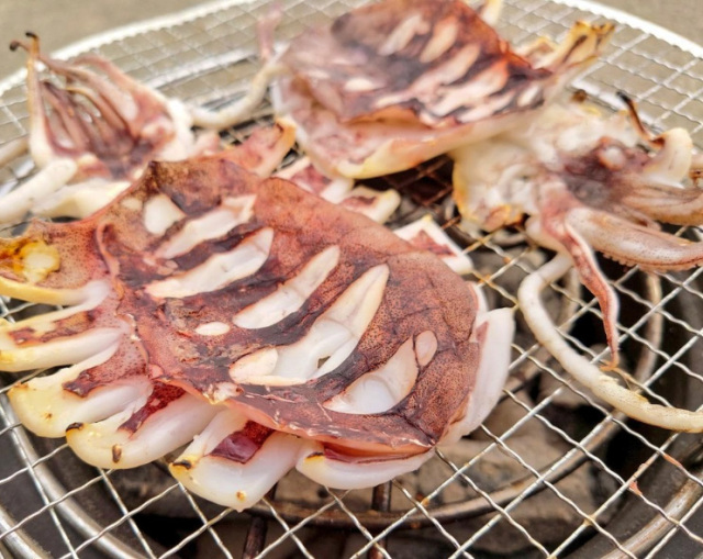 アオリイカ一夜干し　焼き