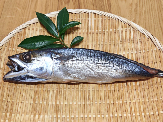 サバ開き　いしるだし干し
