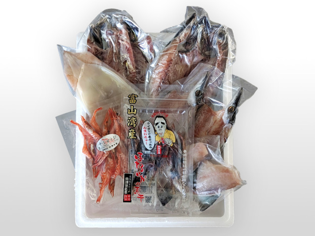 スルメイカ・アオリイカ・アカイカ ほか｜富山県 魚津市の魚介