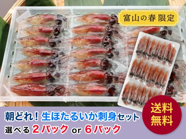 送料無料、富山湾産　生ほたるいか刺身