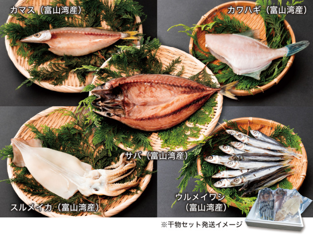 《ギフト》干物セット「しんきろう」（干物5種）【富山湾産】