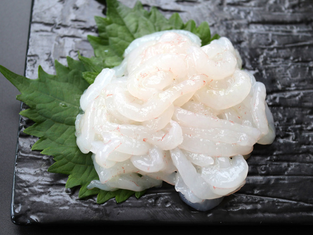 白エビ刺身　むき身