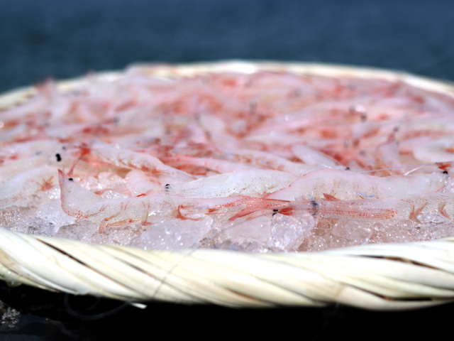 生白エビ　富山湾産