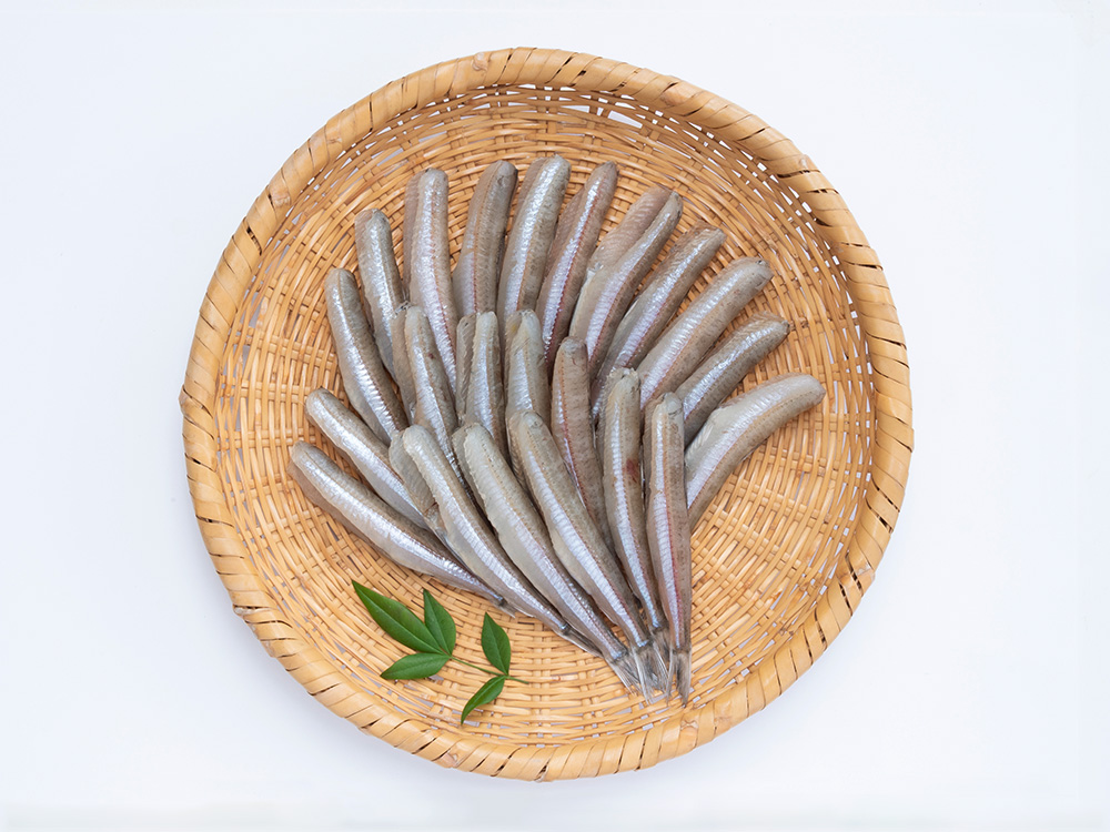 ニギス丸干し（500g×2／頭・内臓取り）