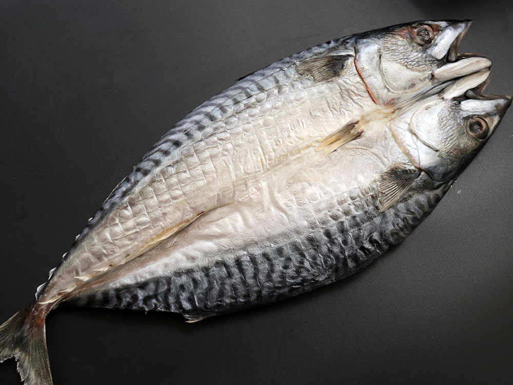 ノルウェー産 大型 開きサバ 富山 魚津の干物製造卸 浜浦水産 んまいちゃ便