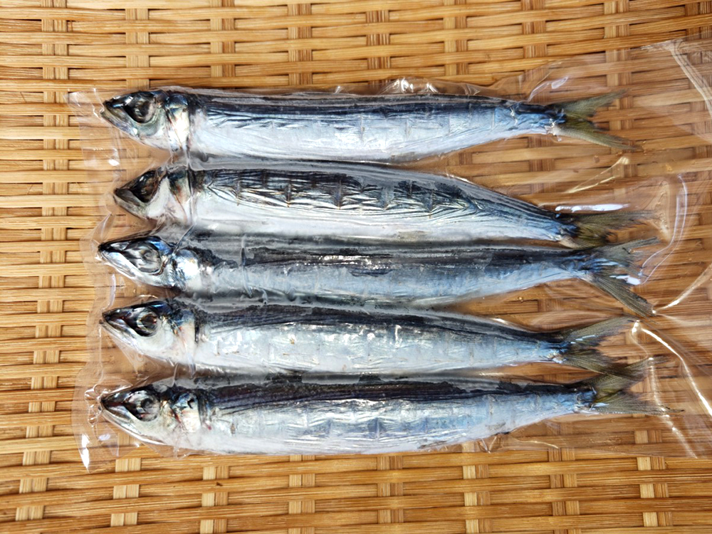 ウルメイワシ干物（100g）【富山湾産】｜富山県 魚津市の魚介・干物