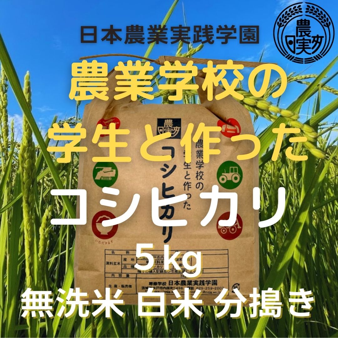 学生の作ったコシヒカリ（無洗米・白米・分搗米・玄米）(5kg)【令和5年産新米】