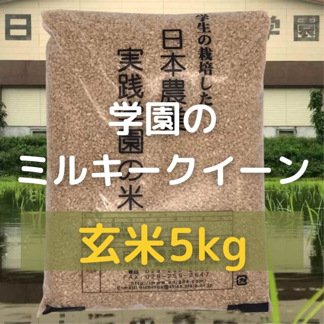 有名人芸能人 ミルキークイーン 米5kg 山梨県産 自然豊かな やまなし 令和3年産 Globescoffers Com