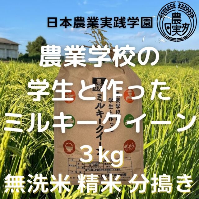 学生の作ったミルキークイーン（無洗米・白米・分搗米・玄米）(3kg)令和6年産