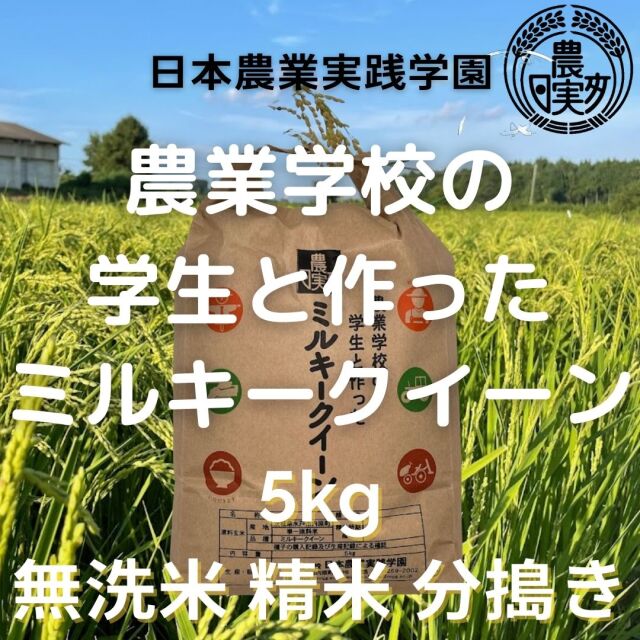 学生の作ったミルキークイーン（無洗米・白米・分搗米・玄米）(5kg) 令和6年産